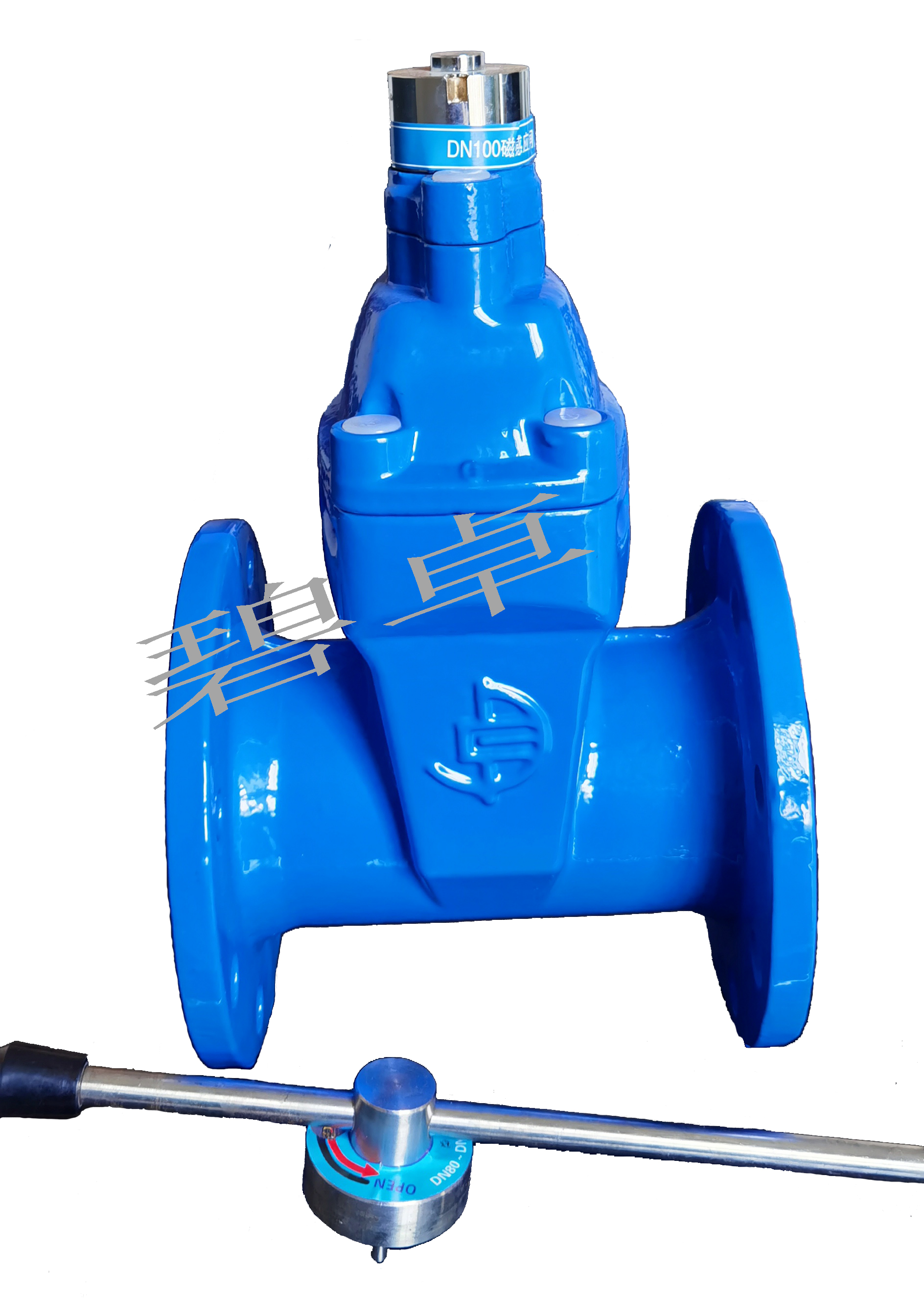 Soft seal densified magnetic gate valve